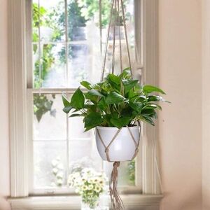 Macrame Hanging Planter